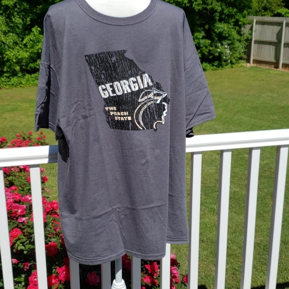 Jerzees Other - 🚨3/$25 . 🆕️ Georgia The peach state shirt